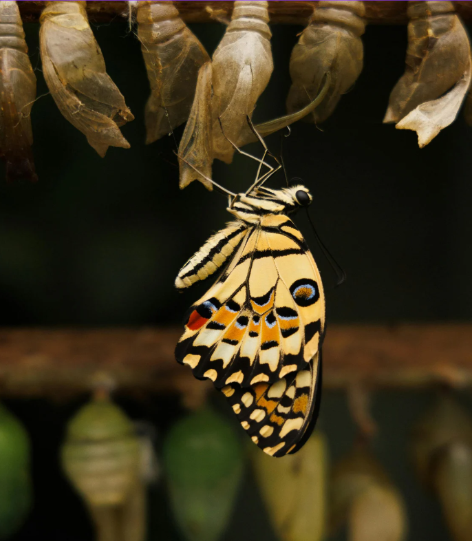 Captura de ecrã 2026-03-06 150951